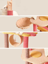 Load image into Gallery viewer, Calorie Cat Climbing Frame - San Frenchie