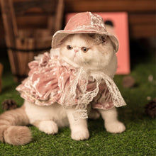 Load image into Gallery viewer, Golden Velvet Gorgeous Cat Dress Set - San Frenchie
