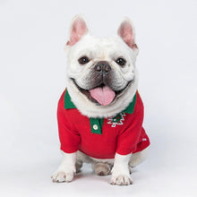 Load image into Gallery viewer, Gingerbread Man Pet Sweater - San Frenchie