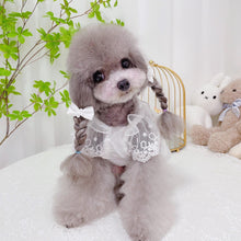 Load image into Gallery viewer, Everyone Loves Korean Style Lace Pet Dress - San Frenchie