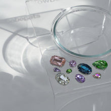 Load image into Gallery viewer, Diamond Pet Bowl - San Frenchie