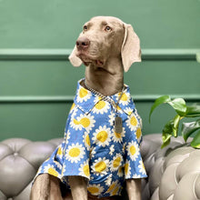 Load image into Gallery viewer, Hawaii Styled Sunflower Dog Shirt - San Frenchie