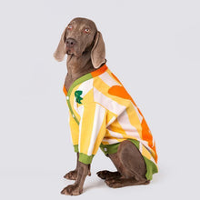 Load image into Gallery viewer, Hip hop Style Pet Knitting Cardigan - San Frenchie
