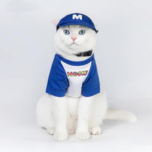 Load image into Gallery viewer, Everyday Basic Pet Cap - San Frenchie