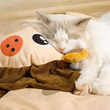 Load image into Gallery viewer, Animal Shaped Pet Mat Bed - San Frenchie