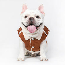 Load image into Gallery viewer, Helmet Image Pet Suede Vest - San Frenchie