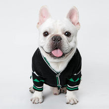Load image into Gallery viewer, Dinosaur Styled Warm Sweater - San Frenchie