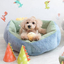 Load image into Gallery viewer, Dinosaur Face Pet Bed - San Frenchie