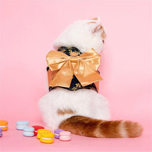 Load image into Gallery viewer, Japanese Style Pet Leash With Bow - San Frenchie