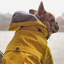 Load image into Gallery viewer, Premium Quality Raincoat for Dogs - San Frenchie