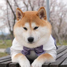 Load image into Gallery viewer, Japanese Style Pet JK Dress - San Frenchie