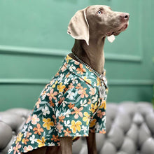 Load image into Gallery viewer, Hawaii Styled Flower Dog Shirt - San Frenchie