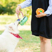 Load image into Gallery viewer, Devil Basket Pet Toy Set with Sound Generator - San Frenchie