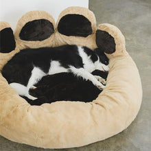 Load image into Gallery viewer, Adorable Bear Paw Shaped Pet Bed - San Frenchie