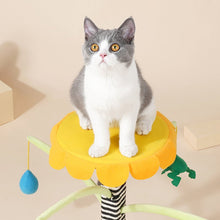 Load image into Gallery viewer, Insects Garden Cat Climbing Tree
