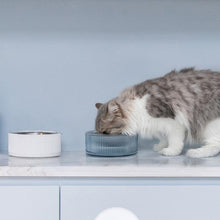 Load image into Gallery viewer, 304 Stainless Steel Separate Cat Bowl - San Frenchie