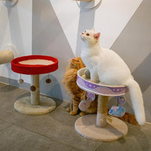 Load image into Gallery viewer, Carousel Cat Scratching Tree - San Frenchie