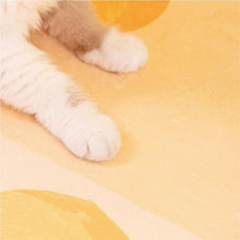 Load image into Gallery viewer, Cheese Shaped Pet Mat - San Frenchie