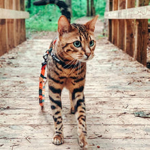 Load image into Gallery viewer, Colorful Pet Harness - San Frenchie