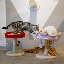 Load image into Gallery viewer, Carousel Cat Scratching Tree - San Frenchie