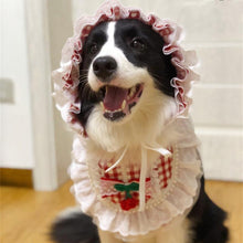 Load image into Gallery viewer, Cute Lace Pet Bib - San Frenchie