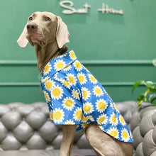 Load image into Gallery viewer, Hawaii Styled Sunflower Dog Shirt - San Frenchie