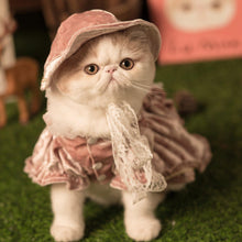 Load image into Gallery viewer, Golden Velvet Gorgeous Cat Dress Set - San Frenchie