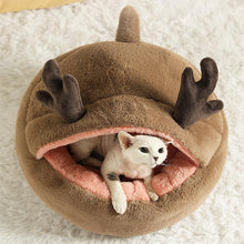 Load image into Gallery viewer, Dinosaur Series Cat Bed - San Frenchie