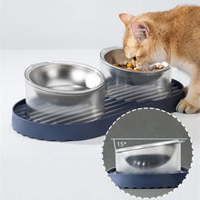 Load image into Gallery viewer, 304 Stainless Steel Transparent Pet Double Bowl - San Frenchie
