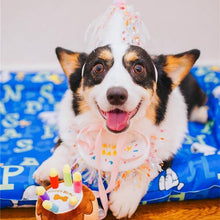 Load image into Gallery viewer, Happy Birthday Hat and Collar Set - San Frenchie