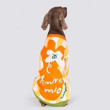 Load image into Gallery viewer, Hip hop Style Pet Knitting Cardigan - San Frenchie