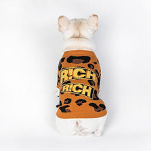 Load image into Gallery viewer, Hip-hop Leopard Print Pet Sweater - San Frenchie
