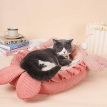 Load image into Gallery viewer, Detachable Lobster Cat House - San Frenchie