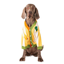 Load image into Gallery viewer, Hip hop Style Pet Knitting Cardigan - San Frenchie