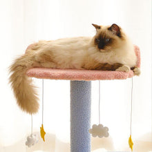Load image into Gallery viewer, Ocean View Cat Climbing Tree - San Frenchie