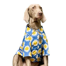 Load image into Gallery viewer, Hawaii Styled Sunflower Dog Shirt - San Frenchie