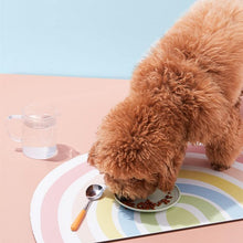 Load image into Gallery viewer, Rainbow Waterproof Pet Feeding Mat - San Frenchie