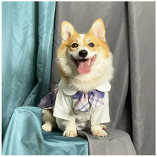 Load image into Gallery viewer, Japanese Style JK Pet Shirt Skirt - San Frenchie