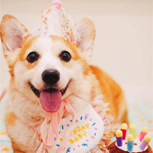 Load image into Gallery viewer, Happy Birthday Hat and Collar Set - San Frenchie
