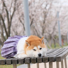 Load image into Gallery viewer, Japanese Style Pet JK Dress - San Frenchie