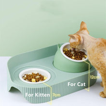 Load image into Gallery viewer, Bear Shaped Bone China Cat Bowl - San Frenchie