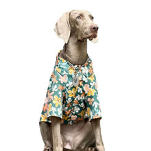 Load image into Gallery viewer, Hawaii Styled Flower Dog Shirt - San Frenchie