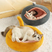 Load image into Gallery viewer, Dinosaur Series Cat Bed - San Frenchie