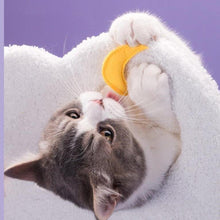 Load image into Gallery viewer, Moonlight Cat Tree - San Frenchie