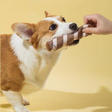 Load image into Gallery viewer, Adorable Cookie Box Nose Work Toy Set - San Frenchie