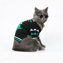 Load image into Gallery viewer, Dinosaur Styled Warm Sweater - San Frenchie