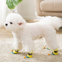 Load image into Gallery viewer, Crocodile Design Breathable Foot Cover Shoes - San Frenchie