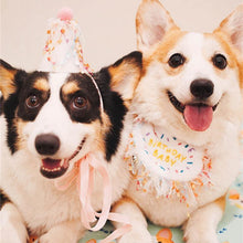 Load image into Gallery viewer, Happy Birthday Hat and Collar Set - San Frenchie
