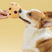 Load image into Gallery viewer, Adorable Cookie Box Nose Work Toy Set - San Frenchie