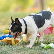Load image into Gallery viewer, Bear Shaped Sound Generating Pet Toy - San Frenchie